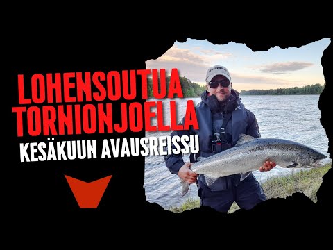 LOHENSOUTUA TORNIONJOELLA KESÄKUUSSA 2022 (EEMELIVAAPUT - LOHENKALASTUS -  TORNIONJOKI)