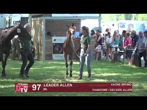 Sprinter Sacré Show 2021 : Lot 97 - Leader Allen