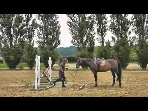 1 3 Preparador le saut au trot wmv 360p)
