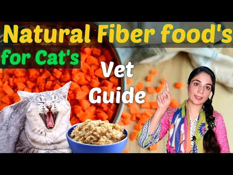 6 Great Sources Of Fiber For Cats & How Much They Need Daily /Natural Fiber rich foods for Cat's