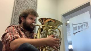 ZO-Bb „Little Dragon“ travel tuba test