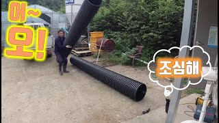 값비싼 산란장 보다 400mm 수로관(주름관)을 선호하는 청계들/Chickens preferring chea…