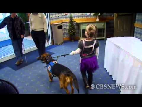 Dog Used to Detect Seizures in 6-Year-Old
