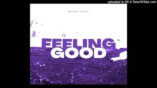 Musik-Video-Miniaturansicht zu Feeling Good Songtext von Hypaton & David Guetta
