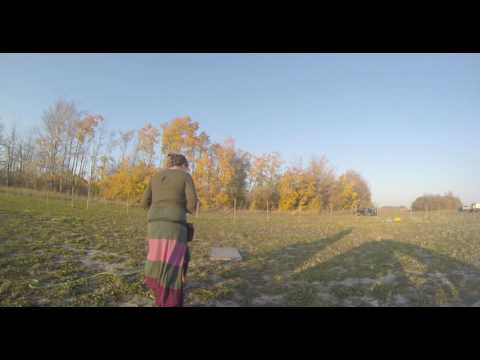 Jaydee Dog Work- 5th Session