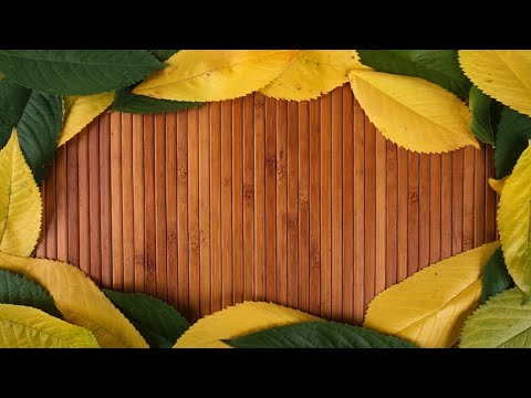 Marlui Miranda - Tchori Tchori (Joutro Mundo Mix)