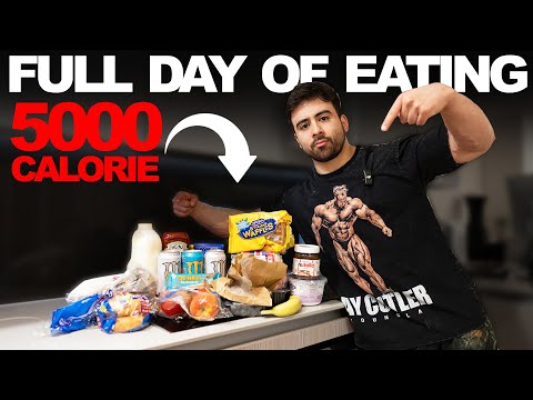 5000 Calorie Natty Pro Full Day of Eating