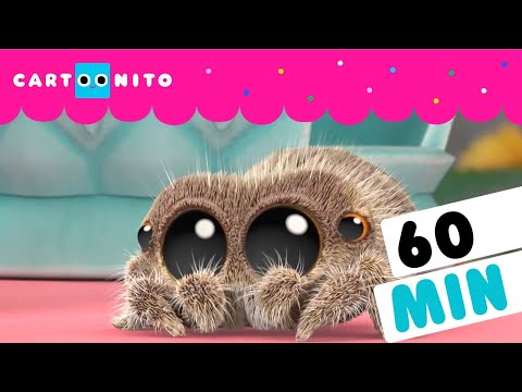 LUCAS NO TIENE MIEDO DE SENTIR | LA ARAÑA LUCAS | CARTOONITO