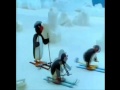 Parodie Pingu 053 Le Défi