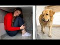 Playing Hide And Seek With My Dog