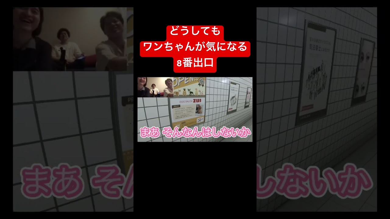 どうしてもワンちゃんが気になる8番出口 #ゲーム実況 #ゲーム #切り抜き #ルームシェア #実況 #板橋ハウス #板橋ハウス切り抜き #8番出口