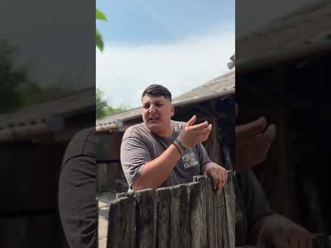 Hai la piscină 😂 @Alexradu413