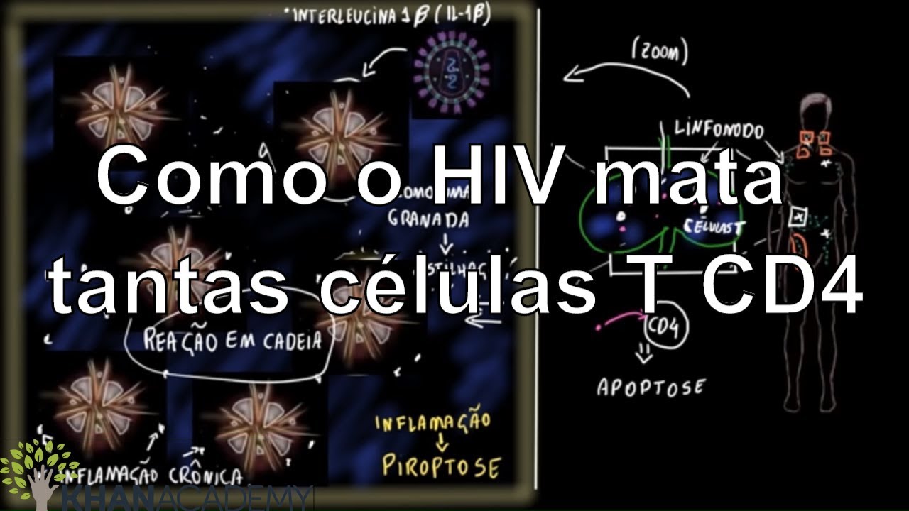 Como o HIV mata tantas células T CD4 | Vida e evolução | Khan Academy
