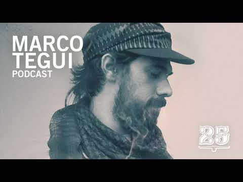 Bar 25 Music Podcast #001 - Marco Tegui