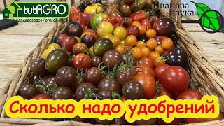 🎯 Сколько НА САМОМ ДЕЛЕ нужно удобрений томатам? Не перекормите! Норма удоб?