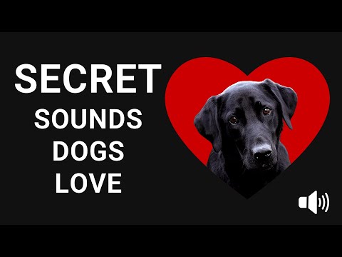 Secret Sounds That Dogs LOVE To Hear 🐶❤️