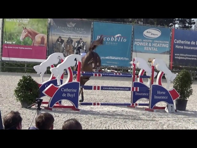 Mother of this Implanted Embryo is the CSI 1.50m jumping mare Elyria Sitte with rider Guillame Ruant