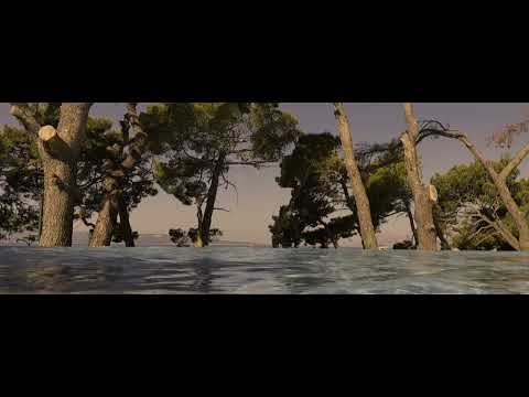 Karol XVII & MB Valence feat. Jono McCleery - Fool's Gold (Official Visualizer)