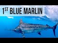 Caught My FIRST Blue Marlin