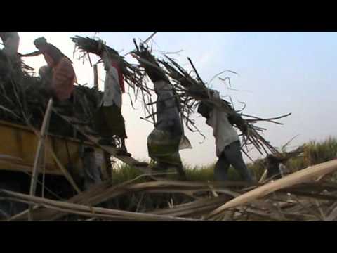 Prafull Kamble https://youtu.be/syjGSvItXgc