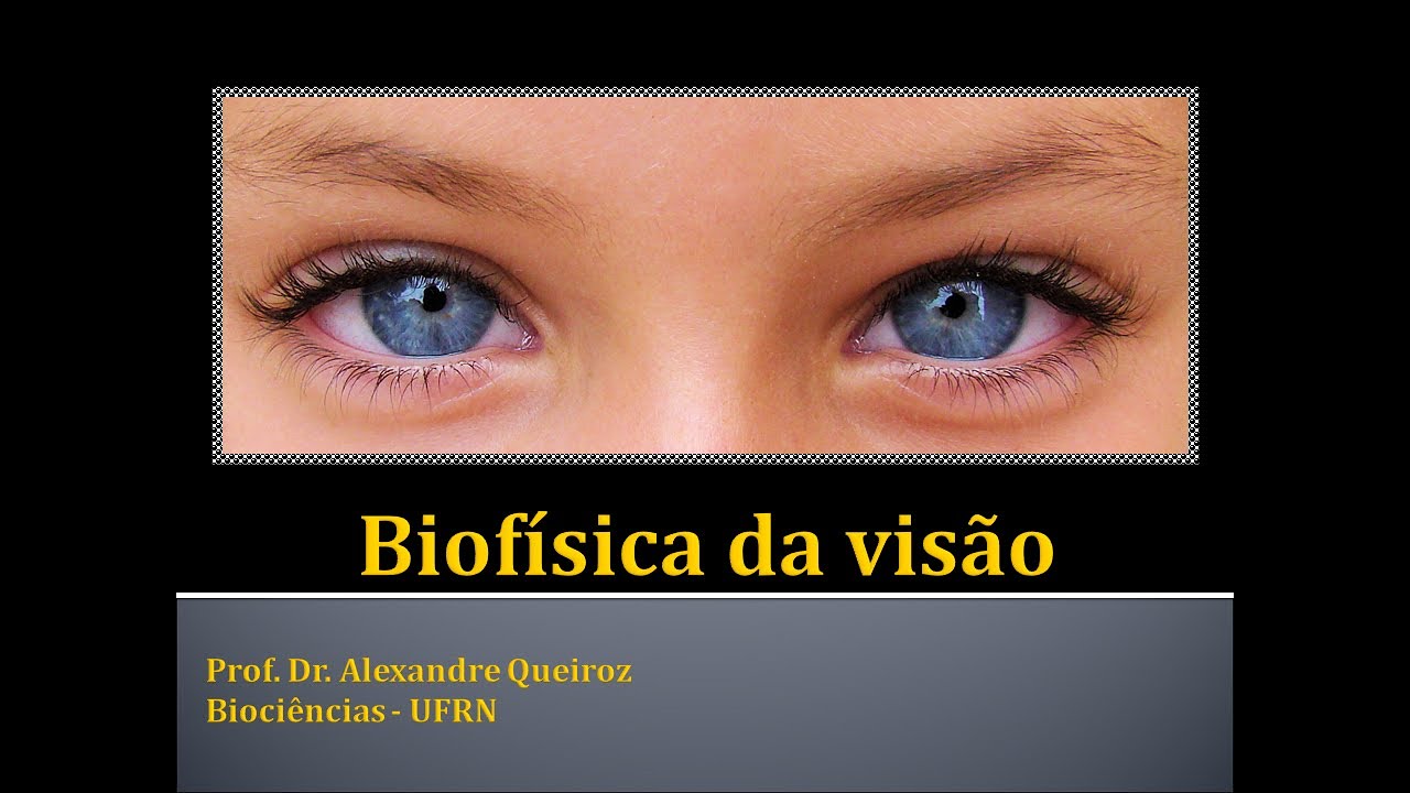 Biofísica da Visão