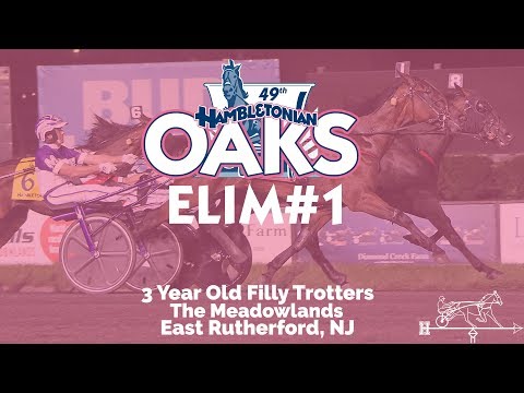 2019 Hambletonian Oaks Elimination 1 - Millies Possesion #Hambo19