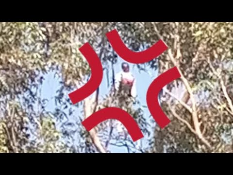 Unexplainable Death On The Tree At Kisii Hotel