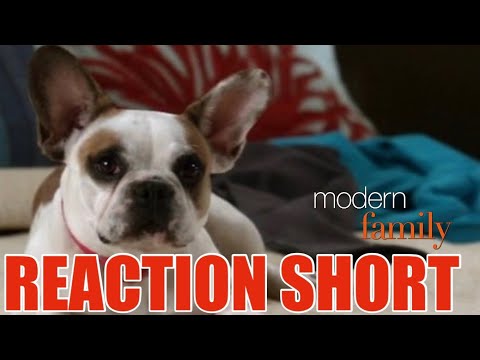 Modern Family S3 E3 "Phil on Wire" SNEAK PEEK!!! 🤣🤣🤣