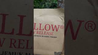 Download lagu Aplikasi pupuk eco farming Pillow Slow Release pada tanaman Durian mp3 Download lagu Aplikasi pupuk eco farming Pillow Slow Release pada tanaman Durian mp3