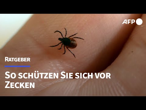 Zecken: So schützt man sich | AFP