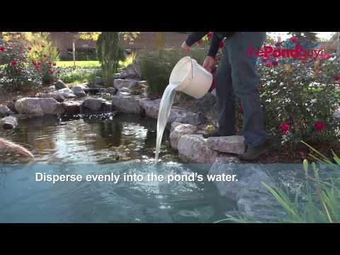 The Pond Guy® Product Video - Clarity Defense®
