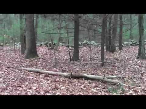 Bay Circuit Trail Framingham MA Henry's Hill Part 2.