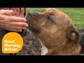 Meet Britain S Loneliest Dog Good Morning Britain