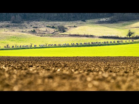 “La Corima Drôme Provençale 2022” Official aftermovie 🎬