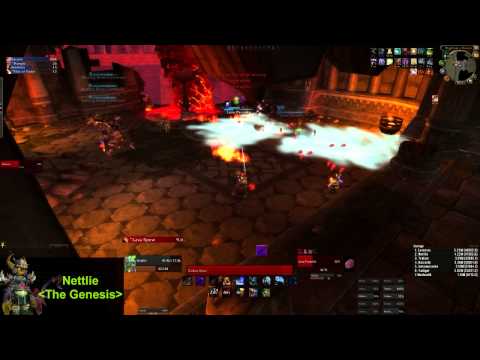 The Genesis vs Magmaw 10HC