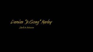 Damian &quot;Jr. Gong&quot;  Marley - Stuck in Between [FULLsong]