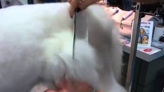 Dog Grooming - Poodle Comb Tips