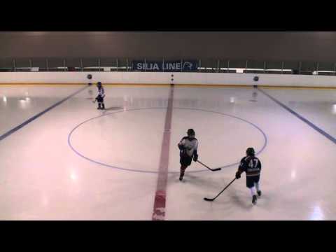 11. 2016 WSI 03 Czech Selects - Salming Hockey Elite