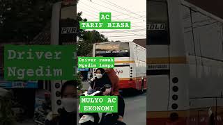 Download lagu #MULYO AC TARIF BIASA #busmania #shortes #mulyo #hunting #huntingbus #MULYOLOVERS mp3 Download lagu #MULYO AC TARIF BIASA #busmania #shortes #mulyo #hunting #huntingbus #MULYOLOVERS mp3