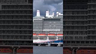 What’s this port called!.. #travel #cruise #cruiseship #yt #ytshorts