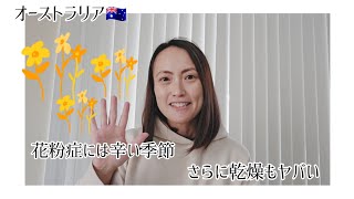 【オーストラリア🇦🇺】パースは花粉と乾燥が特にひどい😭💔