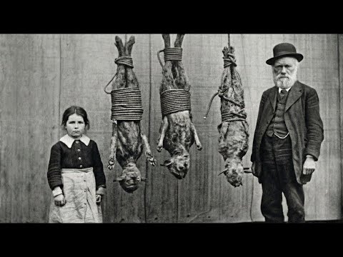 200+ SHOCKING Historical PHOTOS That History Itself Tried to Forget! 🚫📸