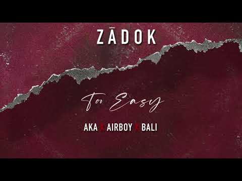 Zādok ft AKA, Airboy & BALI - Too Easy (Official Visualizer)