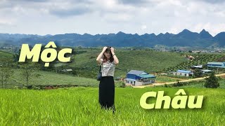 DỜ VLOG#26: reup chuyến đi Mộc Châu đáng nhớ, Hang Táu nên thơ, Nàng Tiên với đồi cỏ 68 xanh  mướt