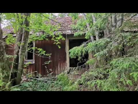 ÖDEHUSET norr om GÖLJAHULT - 200612 - RONNEBY - Blekinge (Huawei P30 Pro)