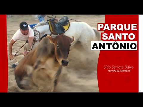 Vaquejada em Algodão de Jandaíra-PB Parque Santo Antônio 2025