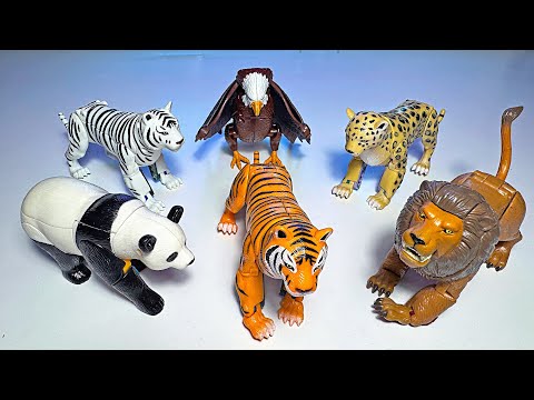 Animals Transforming Robot Toys - Panda, White Tiger, Lion, Tiger, Eagle, Cheetah