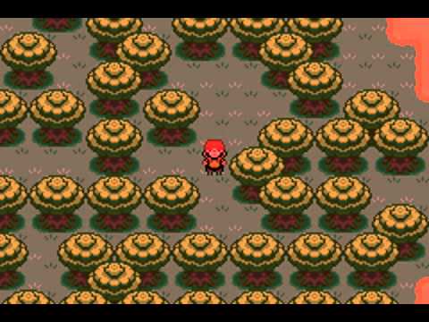 Pokemon Naranja Episode 9 Snack Attack