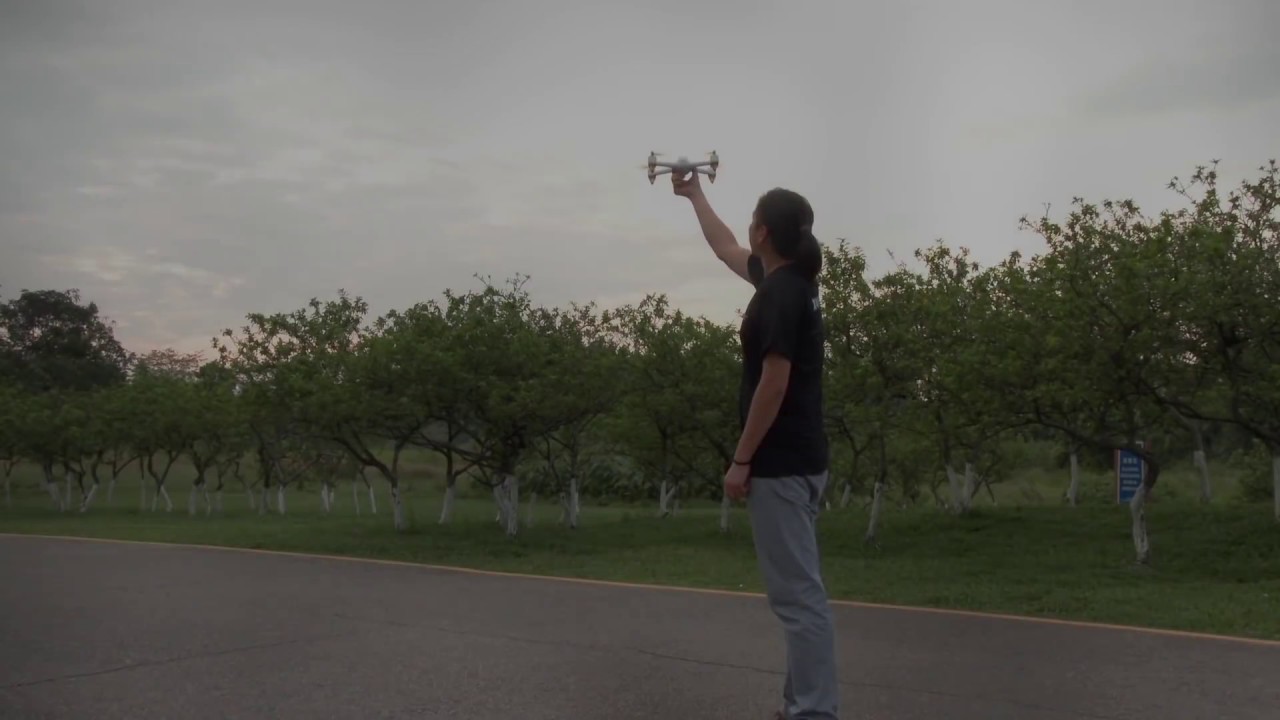 Квадрокоптер Hubsan X4 FPV Brushless H501S Standard Edition