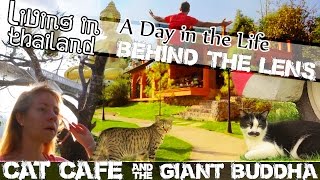 preview picture of video 'CHIANG RAI CAT CAFE & The Giant Buddha -LIVING IN THAILAND VLOG-(ADITL BTL EP11)'